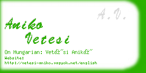 aniko vetesi business card